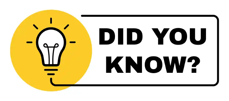 &quot;did you know&quot; vector and light bulb